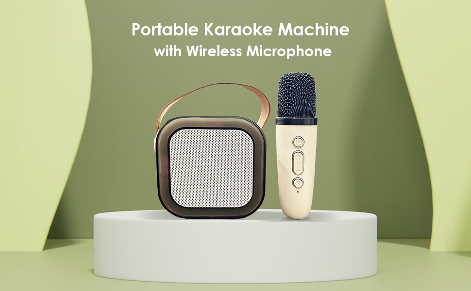 Bluetooth Karaoke Speaker with Wireless Microphone & LED Lights