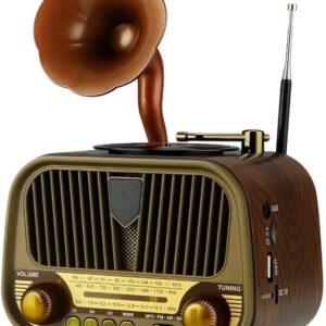 Vintage Gramophone Bluetooth Speaker • Retro Wooden Radio