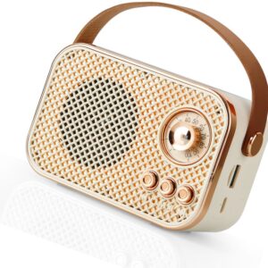 Retro Bluetooth Speaker with Leather Strap – Vintage Portable Wireless Radio, Mesh Grille, Rose Gold Accents | Compact Rechargeable Desk Speaker