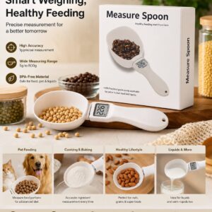 Measuring Spoon with LCD Screen Display