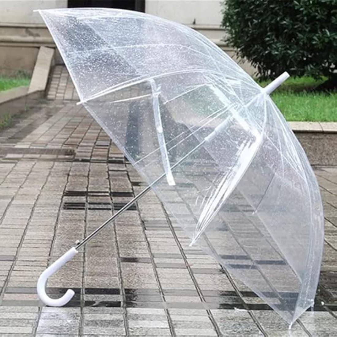 Transparent Umbrella-Durable wind resistance